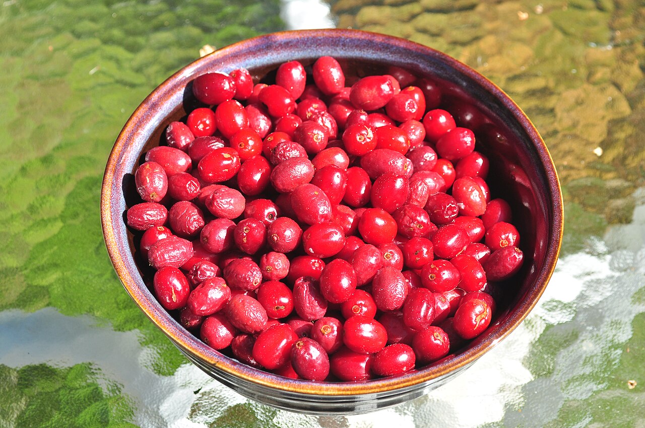 Cornus mas (corn cornelian) — fructe de padure congelate IQF