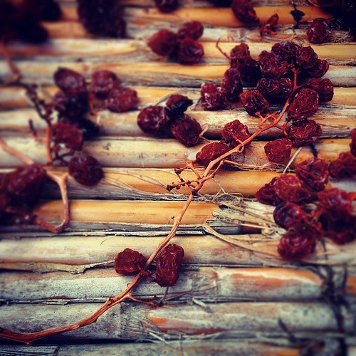 Stafide (struguri uscați) (Vitis vinifera) — fructe uscate, Fruit Sauvage