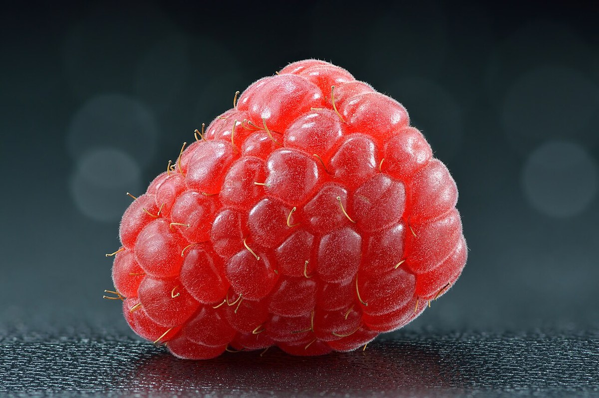 Zmeură sălbatică (Rubus idaeus) — fructe de pădure congelate IQF, Fruit Sauvage