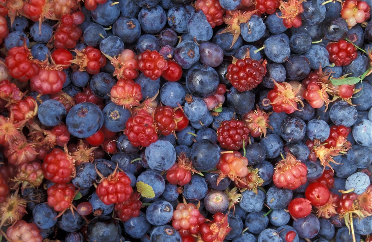 Fructe de padure